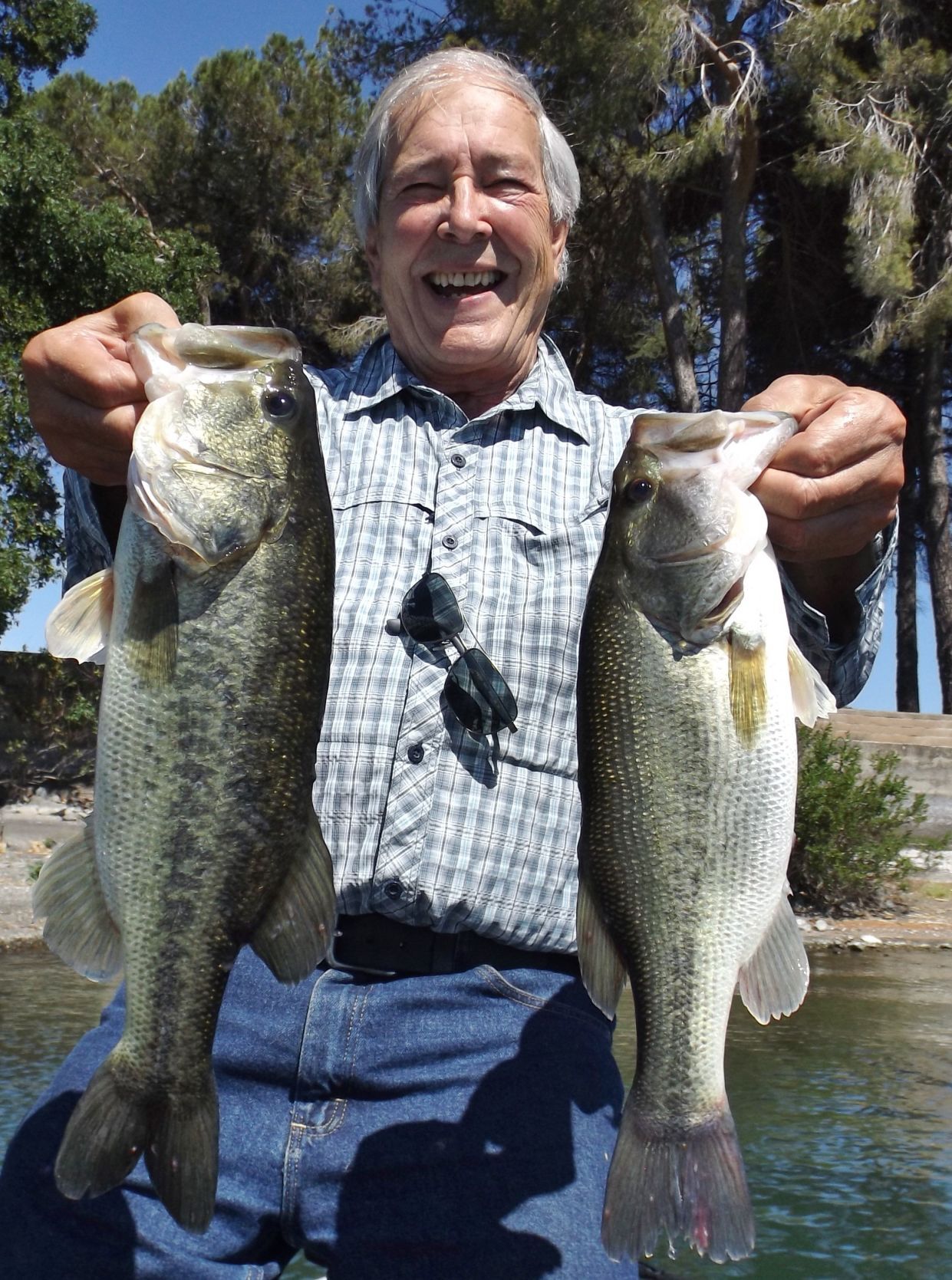 Dan Solomon